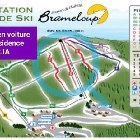 Les Pieds Dans Lot *